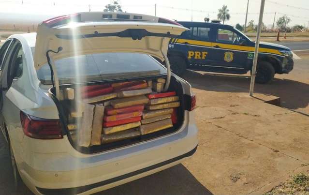 Odor entrega motorista com mais de 400 kg de maconha