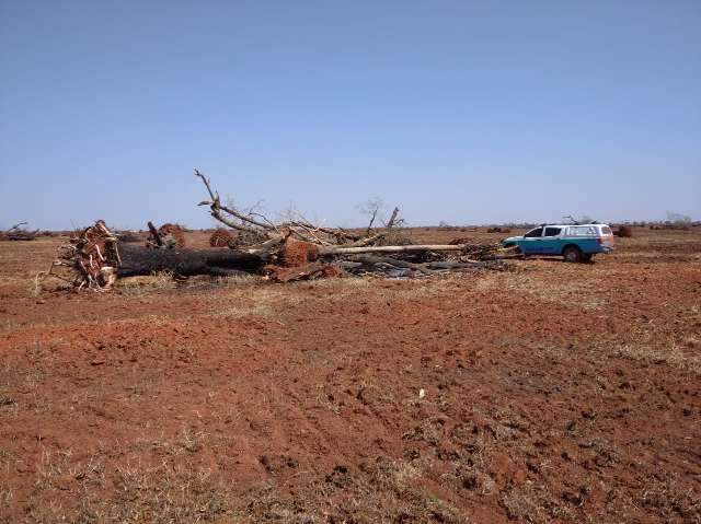 Fazendeiro &eacute; autuado por inc&ecirc;ndio em vegeta&ccedil;&atilde;o e acumula R$ 149 mil em multas