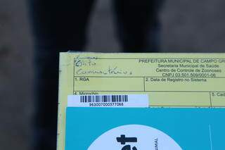Além de carteirinha de vacinação, Frajola tem registro de animal comunitário junto à Prefeitura. (Foto: Kísie Ainoã)