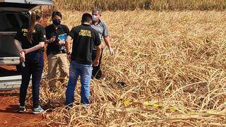 Mulher achada morta em lavoura de cana era ex-presidiária e tinha 52 anos Mulher achada morta em lavoura de cana era ex-presidiária e tinha 52 anos