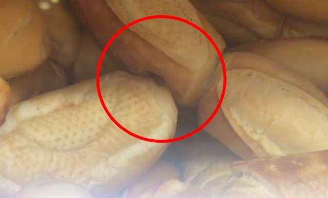 Cliente flagra barata andando em cesto de p&atilde;es dentro de supermercado
