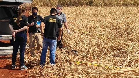 Mulher achada morta em lavoura de cana era ex-presidi&aacute;ria e tinha 52 anos