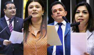 Deputados de MS que votaram a favor do projeto: Fábio Trad, Rose Modesto, Vander Loubet e Bia Cavassa (Fotos: Divulgação)