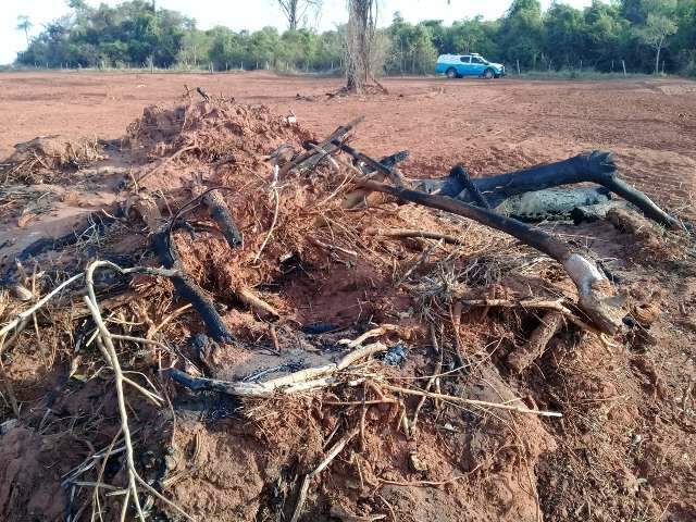 Com queimadas proibidas, fazendeiro &eacute; multado por inc&ecirc;ndio em vegeta&ccedil;&atilde;o