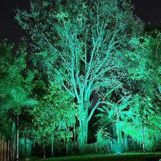 À noite, espaço rodeado de árvores fica iluminado e em breve, receberá nova decoração. (Foto: Rodrigo Sabadin)