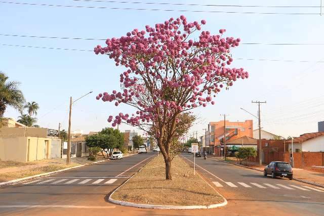 Chapad&atilde;o do Sul recua e vai vacinar adolescentes de 17 anos neste s&aacute;bado