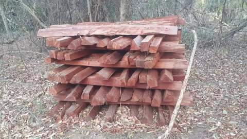 Exploração ilegal de madeira rende multa de meio milhão de reais a fazendeiro