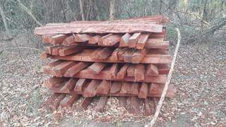 Algumas estacas de madeira empilhadas na propriedade. (Foto: Divulgação | PMA)