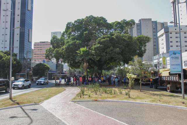 Al&eacute;m de anivers&aacute;rio, Capital comemora 100 anos das figueiras da Afonso Pena