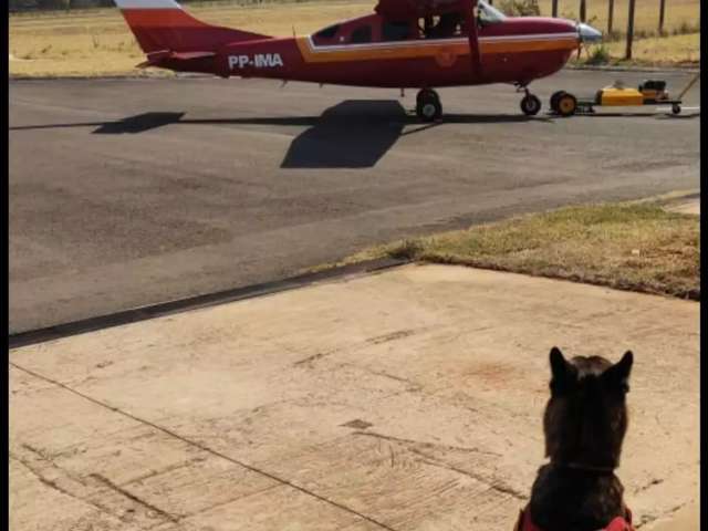 Desaparecido h&aacute; 3 dias, homem &eacute; procurado por bombeiros com c&atilde;es e drones