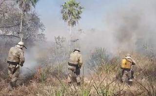 Bombeiros atuando na região da Nhecolândia, no combate aos incêndios florestais. (Foto: Divulgação)