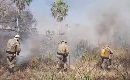 Opera&ccedil;&atilde;o contra fogo no Pantanal combate chamas na Nhecol&acirc;ndia