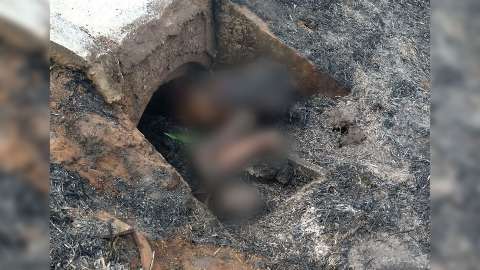 Sem pernas, segundo corpo é encontrado em área incendiada na Capital