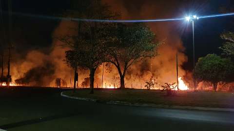Área de reserva ecológica é tomada pelo fogo no Rita Vieira