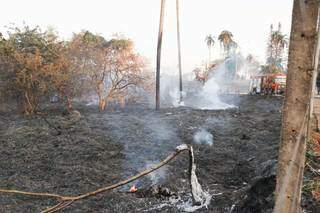 Cinzas tomaram conta de área localizada no Rita Vieira. (Foto: Henrique Kawaminami)