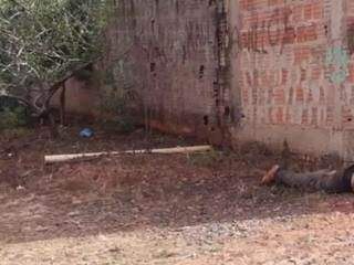 Juiz mant&eacute;m preso e manda marcar j&uacute;ri de trio r&eacute;u por espancar jovem at&eacute; a morte