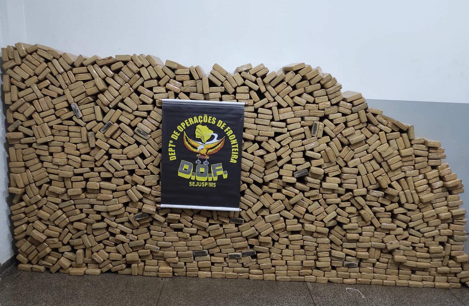 Centenas de tabletes de maconha que foram apreendidos (Foto: Divulgação/DOF)