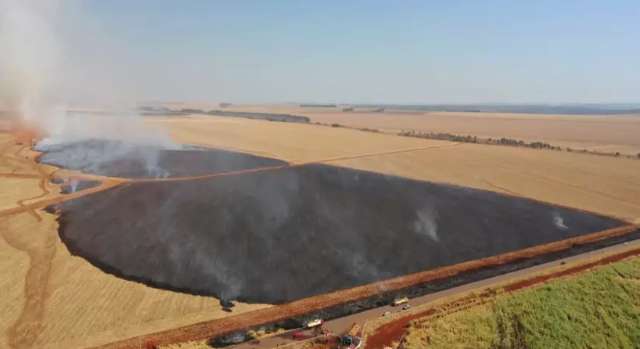 Caminh&atilde;o tem pane el&eacute;trica, pega fogo e chamas se espalham por lavoura