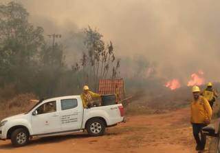 Brigadistas que tentam controlar incêndio no Parque Cerro Corá, no Paraguai (Foto: Direto das Ruas)