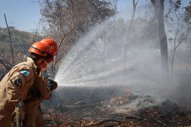 Inc&ecirc;ndio atingiu cerca de 5 hectares de Parque; bombeiros continuam no local