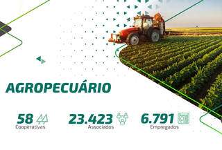 Dados de levantamento mostram que número de cooperados no setor agropecuário cresceu 7,43% de 2029 para 2020