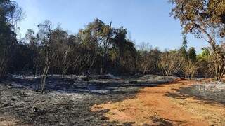 Área queimada próximo do stand de tiros e ginásio da Acadepol. (Foto: PC/MS)