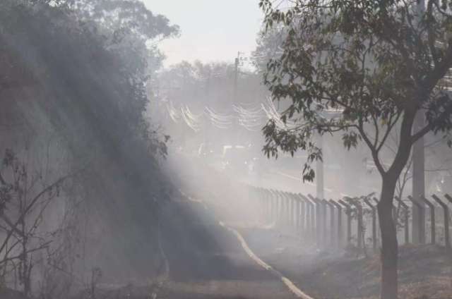 Inc&ecirc;ndio avan&ccedil;ou a madrugada e 5 hectares do Parque dos Poderes viraram cinzas