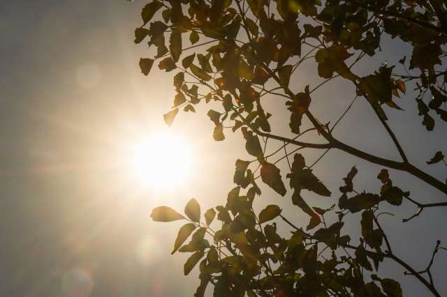 Com alerta de onde de calor, temperatura na Capital pode chegar aos 40&deg;C