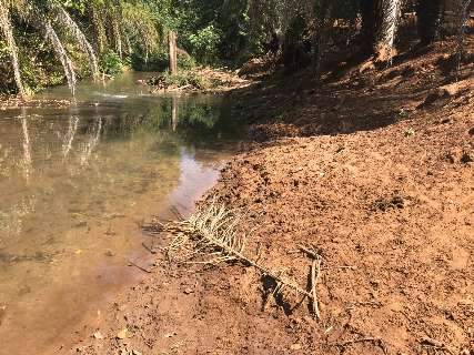 Produtor &eacute; multado e indiciado por permitir que gado acesse &aacute;rea de preserva&ccedil;&atilde;o