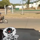 Motociclista foge da polícia na contramão e provoca acidente