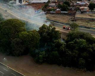 Imagem mostra fogo consumindo a mata ciliar do córrego, na avenida Nelly Martins (Foto: Direto das Ruas)
