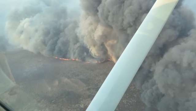 Do Pantanal at&eacute; regi&atilde;o leste, inc&ecirc;ndios florestais se alastram em MS