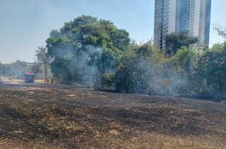 Incêndio em área de vegetação na Avenida Nelly Martins. (Foto: Aletheia Alves)&nbsp;