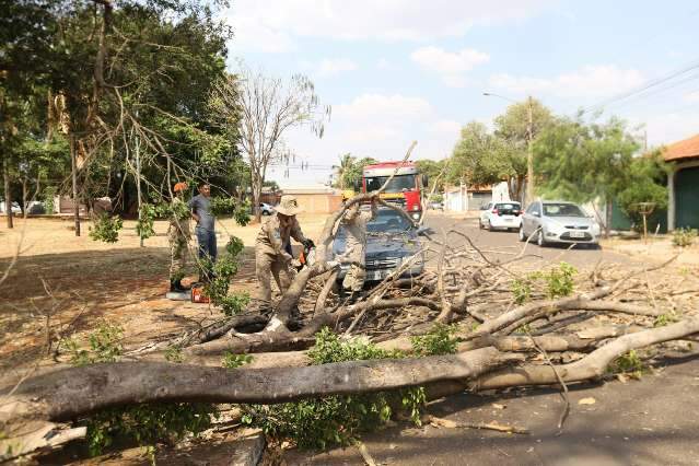 Ventania derruba galhos, interrompe tr&acirc;nsito na Vila Almeida e assusta moradores