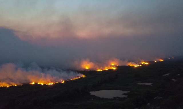 Pantanal: &aacute;rea queimada neste ano j&aacute; se assemelha ao mesmo per&iacute;odo de 2020