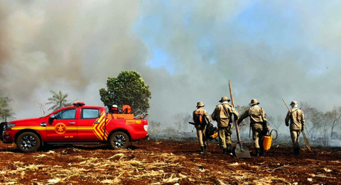 Área queimada no Pantanal é menor do que registrada em 2020, diz governo