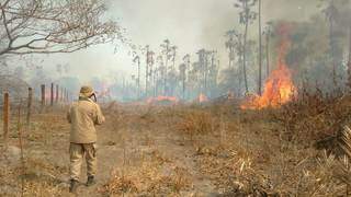 Bombeiros atuam na exintição de incêndios no Pantanal, em Porto Murtinho. (Foto: Divulgação/Corpo de Bombeiros Militar)