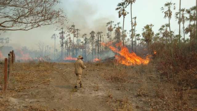 Portaria libera R$ 8,631 milh&otilde;es para a&ccedil;&otilde;es de combate a inc&ecirc;ndios em MS