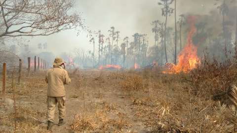 UFRJ corrige dados e área parcial queimada no Pantanal é menor em 2021