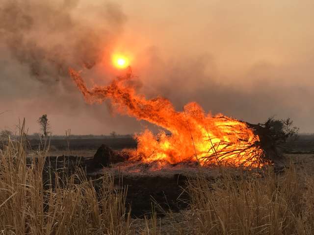 A menor fa&iacute;sca, chamar Bombeiro na hora pode evitar devasta&ccedil;&atilde;o pelo fogo