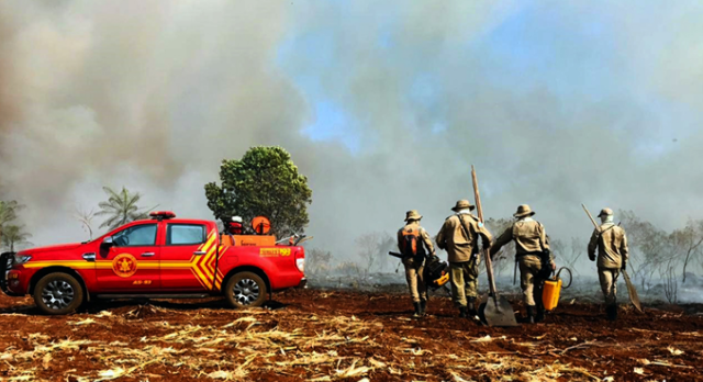 &Aacute;rea queimada no Pantanal &eacute; menor do que registrada em 2020, diz governo