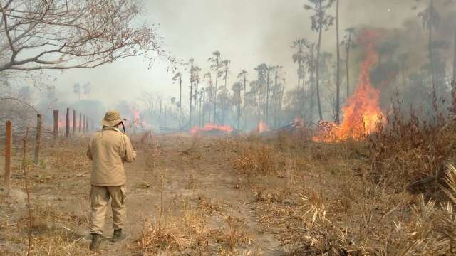 UFRJ corrige dados e &aacute;rea parcial queimada no Pantanal &eacute; menor em 2021