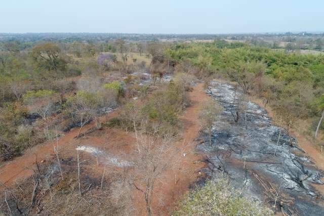 Idoso de 73 anos &eacute; multado em R$ 10 mil por incendiar &aacute;rea de mata ciliar