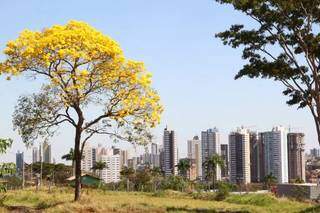 Na v&eacute;spera do anivers&aacute;rio, fa&ccedil;a o pedido: o que voc&ecirc; espera de Campo Grande?