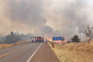 Fogo e fumaça tomaram conta de matagal às margens da rodovia. (Foto: Paulo Francis)