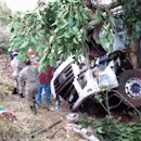Motorista perde controle de caminhão e veículo "abraça" árvore 