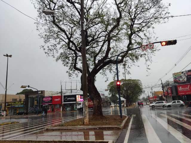 Seca e calor d&atilde;o tr&eacute;gua com chegada da chuva em cidade do interior