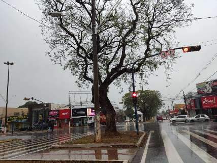 Seca e calor dão trégua com chegada da chuva em cidade do interior