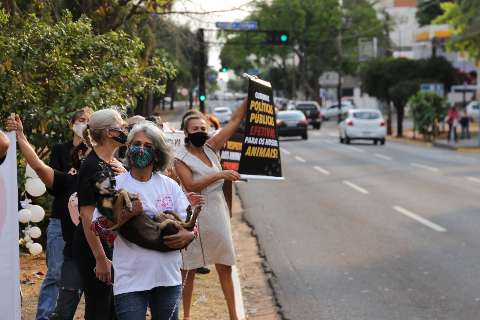 Ativistas protestam por centro de acolhimento animal em Campo Grande