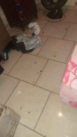 Suspeito de tentar matar mulher tamb&eacute;m esfaqueou a pr&oacute;pria filha de 1 ano